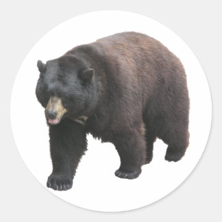 Adesivo Redondo O urso de Helaine