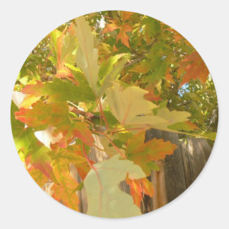 Adesivo Redondo O verão acabou