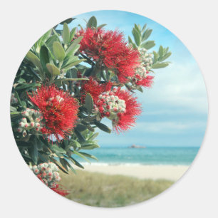 Adesivo Redondo O vermelho floresce o verão de Nova Zelândia da