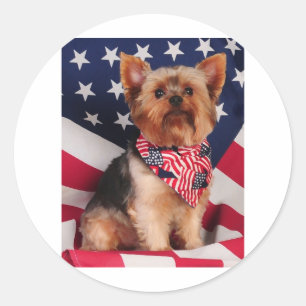 Adesivo Redondo O Yorkie americano