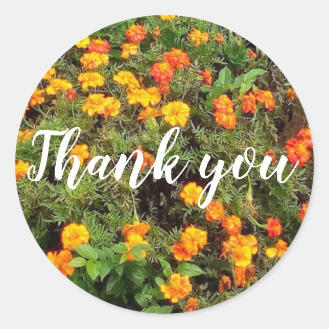 Adesivo Redondo Obrigado de flor botânica verde-laranja (Frente)
