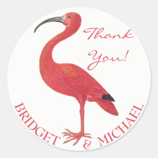 Adesivo Redondo Obrigado! | Flamingo cor-de-rosa - Vinheta de arte