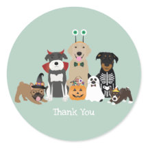 Obrigado Halloween Figurinos De Pet Spooky