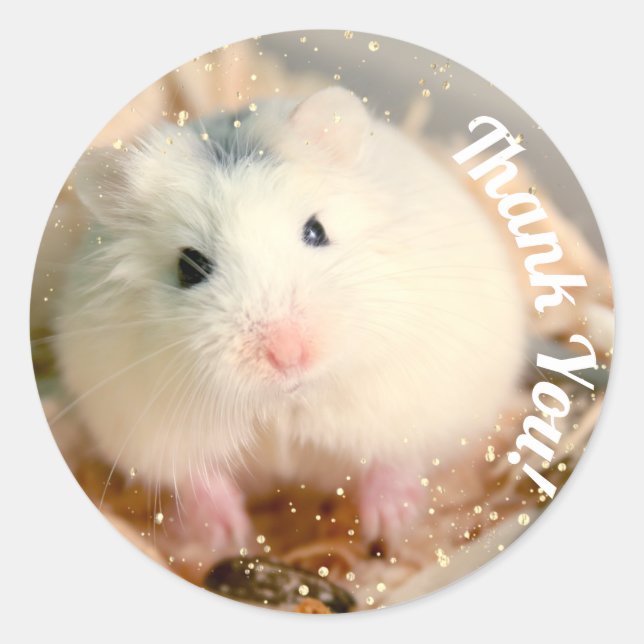 Adesivo Redondo Obrigado - Hammyville White Hamster (Frente)