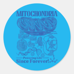 Adesivo Redondo Ochondria Ciência Vintage Biologia Diagrama de Cél