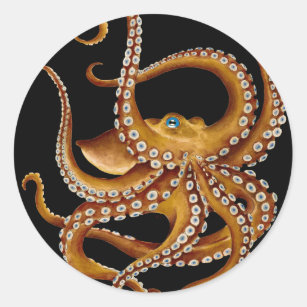 Adesivo Redondo Octopus Azul Olho Negro