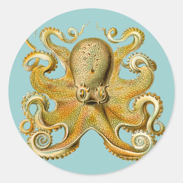 Adesivo Redondo Octopus de Ernst Haeckel (Frente)