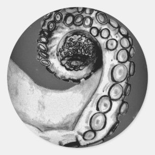 Adesivo Redondo Octopus Náutico Branco e Preto da Vintage, Tentá