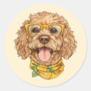 Adesivo Redondo Óculos de Sol de Cachorro Goldendoodle Fofos Laran