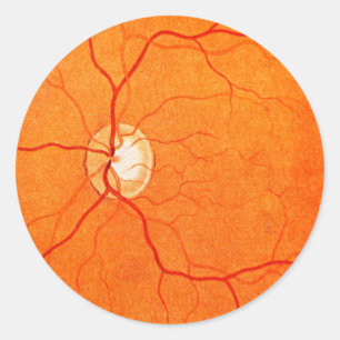 Adesivo Redondo Oftalmologia Optometria Vinheta De Exame Do Fundus