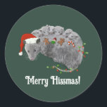 Adesivo Redondo Ogambá Christmas Baby Possum Embalado em Luzes<br><div class="desc">Uma mãe de gambá desenhada pela mão ou pai com vários gambás bebês vestindo chapéus de Papai Noel e apreciando biscoitos de Natal,  gengibre,  gengibre,  árvore de Natal,  tudo enquanto embrulhado em luzes de Natal em vermelho e verde!</div>