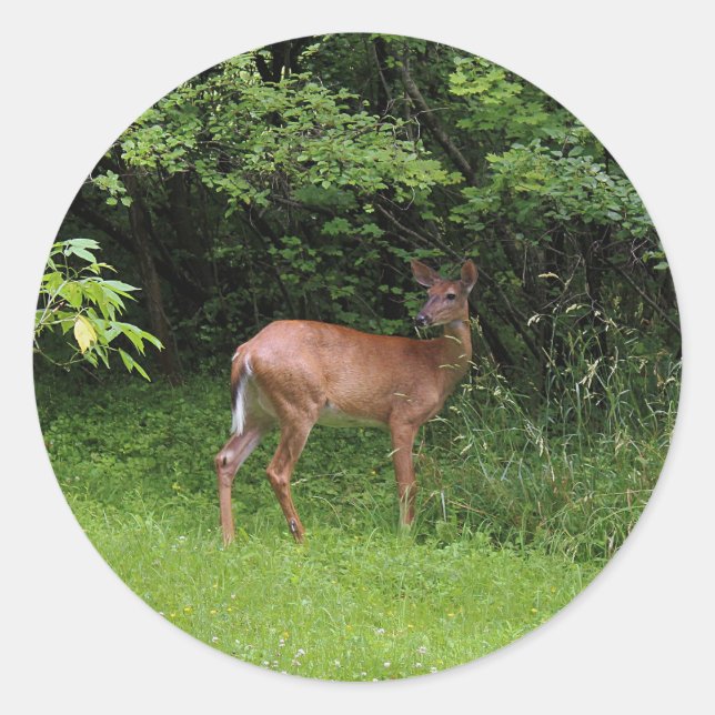 Adesivo Redondo Oh cervos! (Frente)