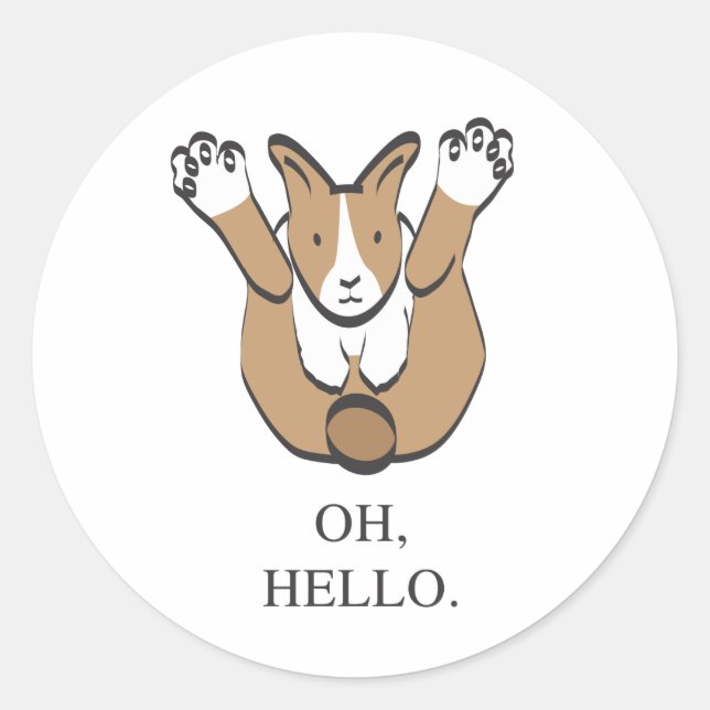 ADESIVO REDONDO OH, OLÁ. (Frente)