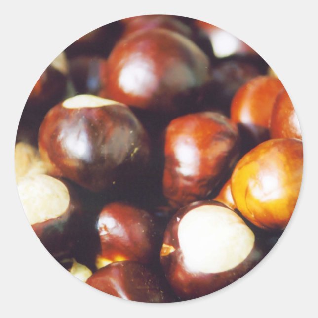 Adesivo Redondo Ohio Buckeyes (Frente)