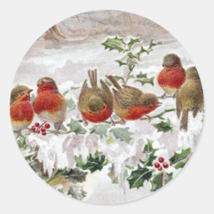 Adesivo Redondo Oito robins ingleses no natal vintage do azevinho