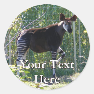 Adesivo Redondo Okapi Stickers