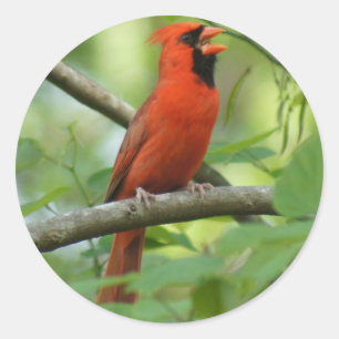 Adesivo Redondo Olá!