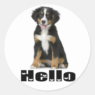 Adesivo Redondo Olá Cachorro Bernese Mountain Puppy Berner Amor