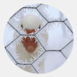 Adesivo Redondo Olá! Pato atrás da cerca de fosco