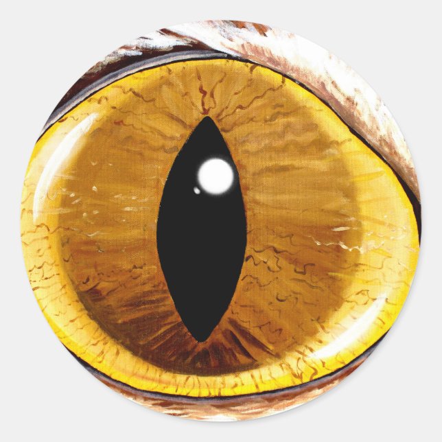 Adesivo Redondo Olho de gato pintado (Frente)