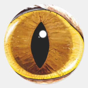 Adesivo Redondo Olho de gato pintado