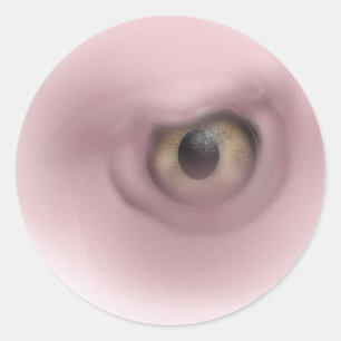 Adesivo Redondo Olho do abutre