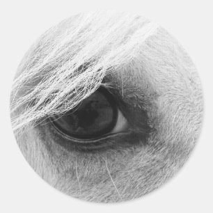 Adesivo Redondo Olho do cavalo em preto e branco