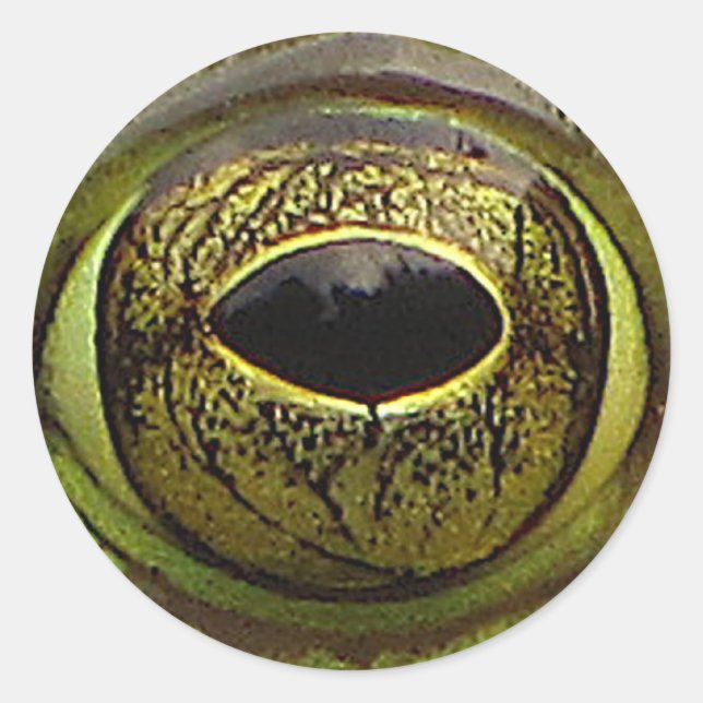 Adesivo Redondo Olho do sapo (Frente)