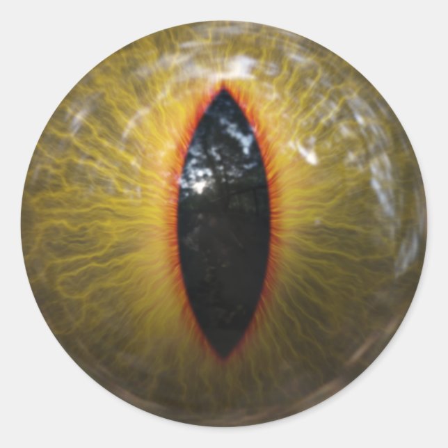 Adesivo Redondo Olho Gato (Frente)