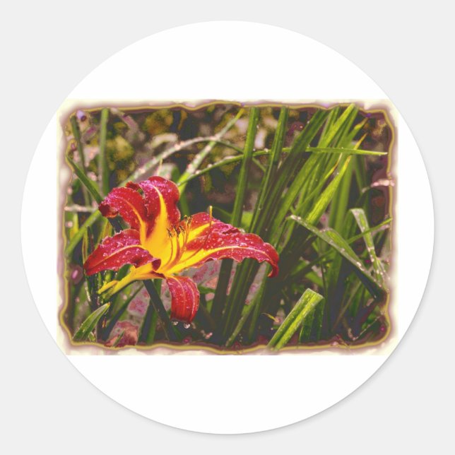 Adesivo Redondo Ontem Lily Depois Da Chuva (Frente)