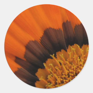 Adesivo Redondo Orange Gazania Stickers