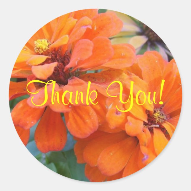 Adesivo Redondo Orange Marigolds (Frente)