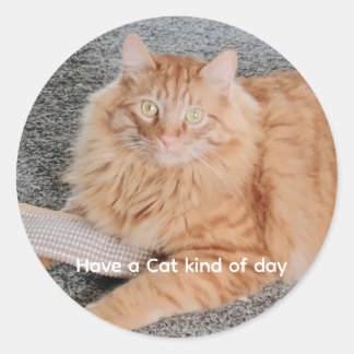 Adesivo Redondo Orange Tabby cat 
