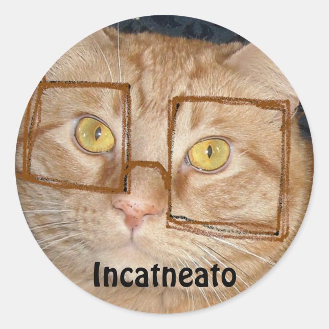 Adesivo Redondo Orange Tabby Cat/Incognito Humor (Frente)