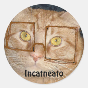 Adesivo Redondo Orange Tabby Cat/Incognito Humor