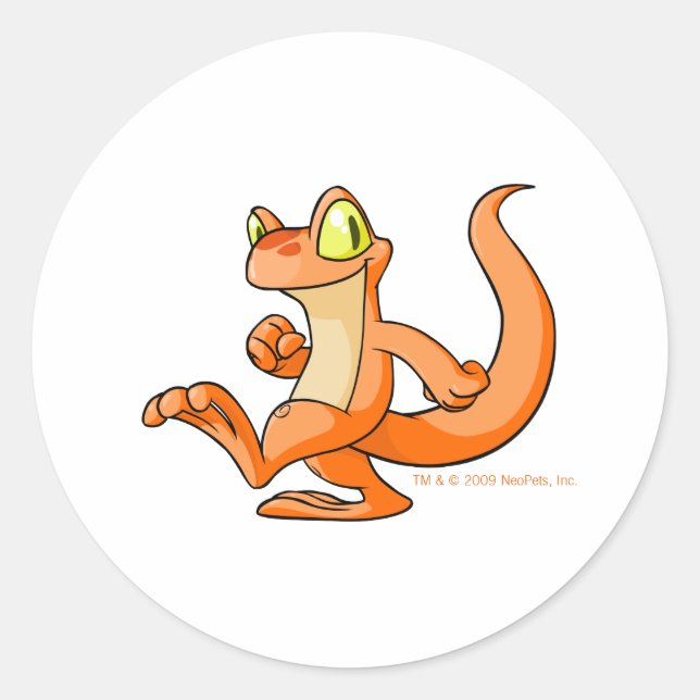 Adesivo Redondo Orange Techo em busca (Frente)