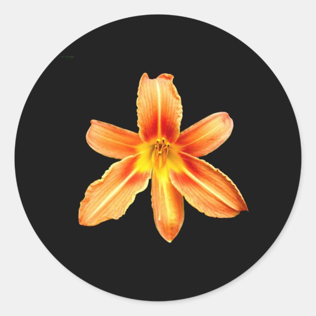 Adesivo Redondo Orange Tiger Lily Stickers (Frente)