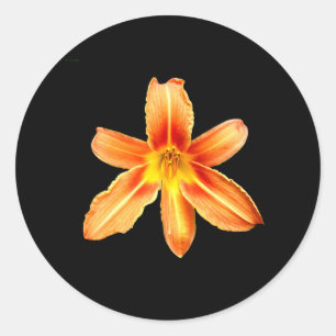 Adesivo Redondo Orange Tiger Lily Stickers