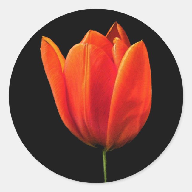 Adesivo Redondo OrangeTulip (Frente)