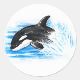 Adesivo Redondo Orca Playing