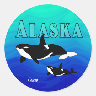 Adesivo Redondo Orcas Alaska - Envelope Stickers