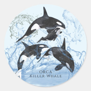 Adesivo Redondo Orcas Incríveis de Preto e Branco