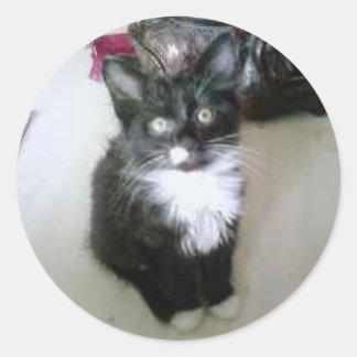 ADESIVO REDONDO "OREO"