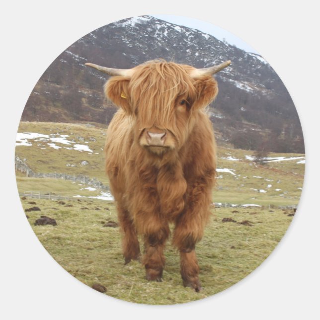 Adesivo Redondo Orgulho de ser escocês! (Frente)