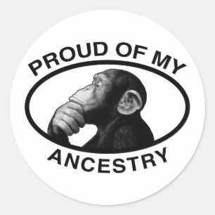 Adesivo Redondo Orgulhoso de meu chimpanzé da ascendência