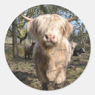 Adesivo Redondo Orgulhoso ser escocês