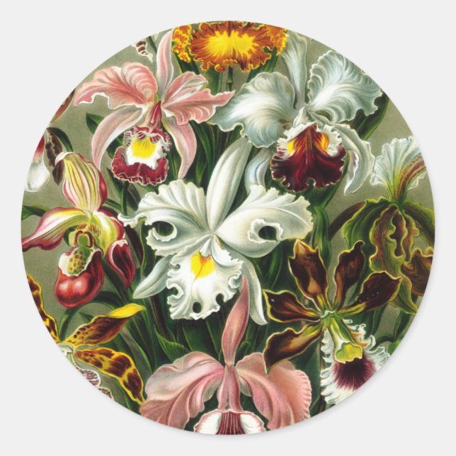 Adesivo Redondo Orquídea (Frente)