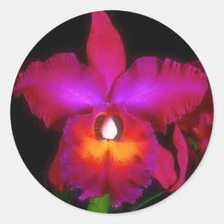 Adesivo Redondo Orquídea Beleza