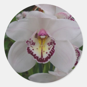 Adesivo Redondo Orquídea Branca II Elegante
