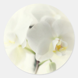 Adesivo Redondo Orquídeas
